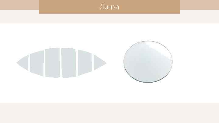 Линза 