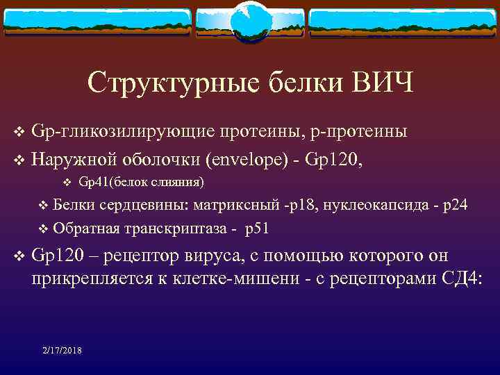 Структурные белки ВИЧ Gp-гликозилирующие протеины, р-протеины v Наружной оболочки (envelope) - Gp 120, v