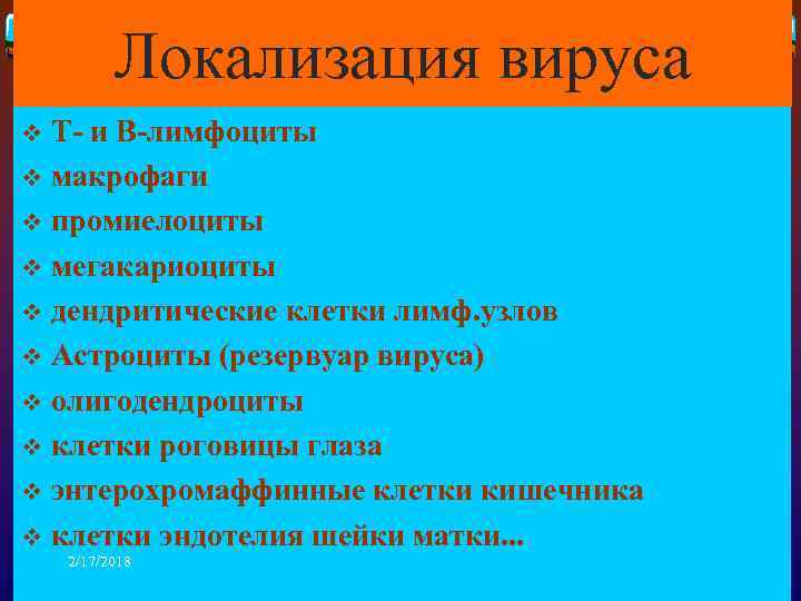 Локализация вируса Т- и В-лимфоциты v макрофаги v промиелоциты v мегакариоциты v дендритические клетки
