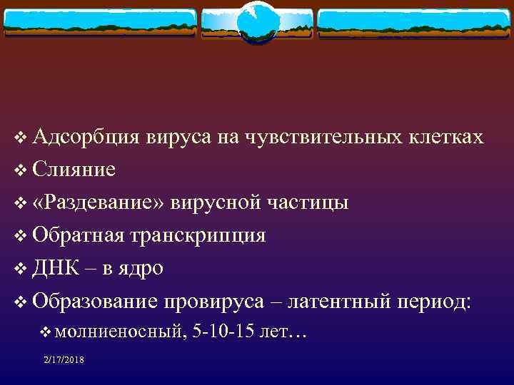v Адсорбция вируса на чувствительных клетках v Слияние v «Раздевание» вирусной частицы v Обратная