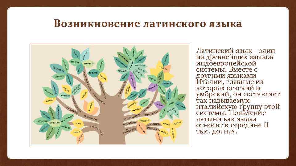 Возникновение латыни. Происхождение латинского языка. Роль латинского языка. Латинское происхождение. Латынь история происхождения языка.