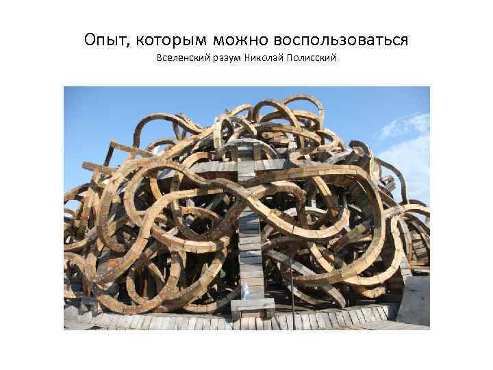 Опыт, которым можно воспользоваться Вселенский разум Николай Полисский 