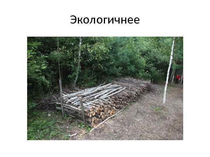 Экологичнее 