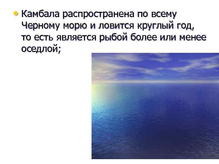  • Камбала распространена по всему Черному морю и ловится круглый год, то есть