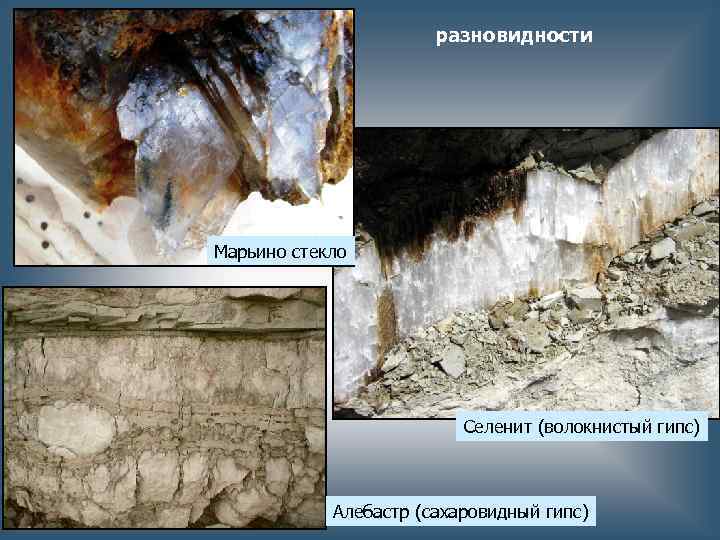 разновидности Марьино стекло Селенит (волокнистый гипс) Алебастр (сахаровидный гипс) 