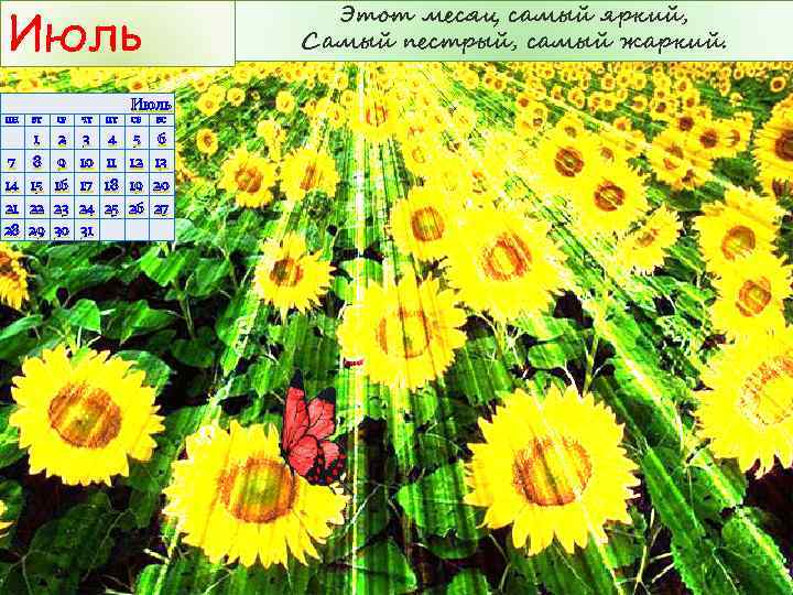 Июль Этот месяц самый яркий, Самый пестрый, самый жаркий. Июль ПН ВТ СР ЧТ