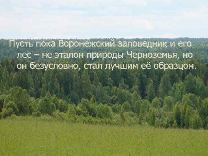 Пусть пока Воронежский заповедник и его лес – не эталон природы Черноземья, но он