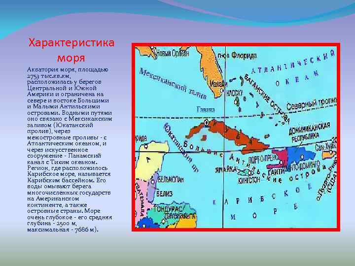 Общие особенности морей