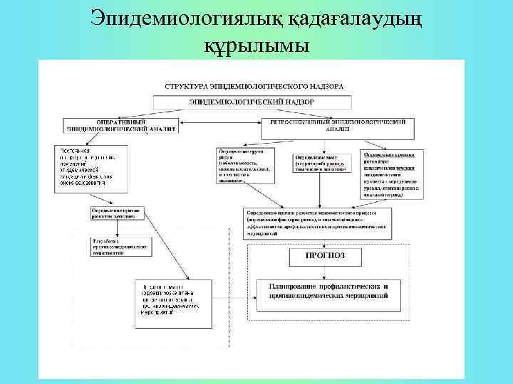 Эпидемиологиялық қадағалаудың құрылымы 
