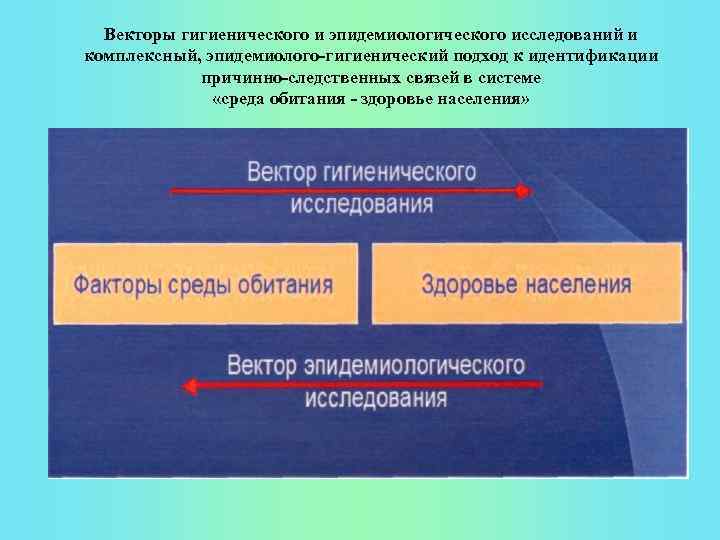 Векторы гигиенического и эпидемиологического исследований и комплексный, эпидемиолого-гигиенический подход к идентификации причинно-следственных связей в