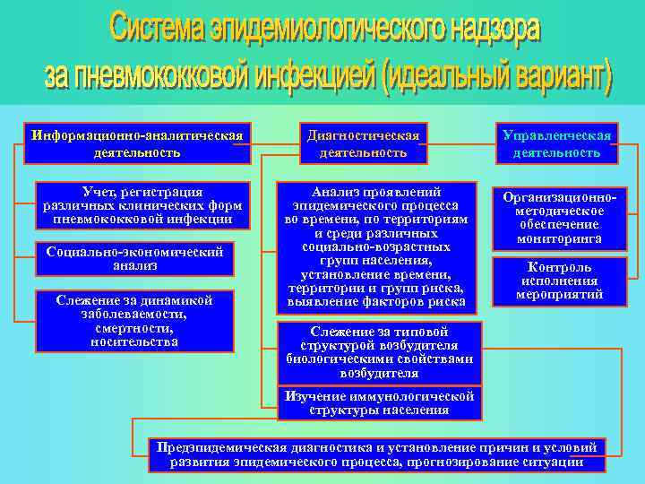 Информационно-аналитическая деятельность Учет, регистрация различных клинических форм пневмококковой инфекции Социально-экономический анализ Слежение за динамикой