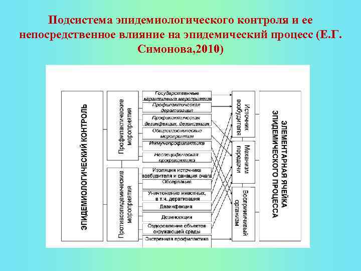 Подсистема эпидемиологического контроля и ее непосредственное влияние на эпидемический процесс (Е. Г. Симонова, 2010)