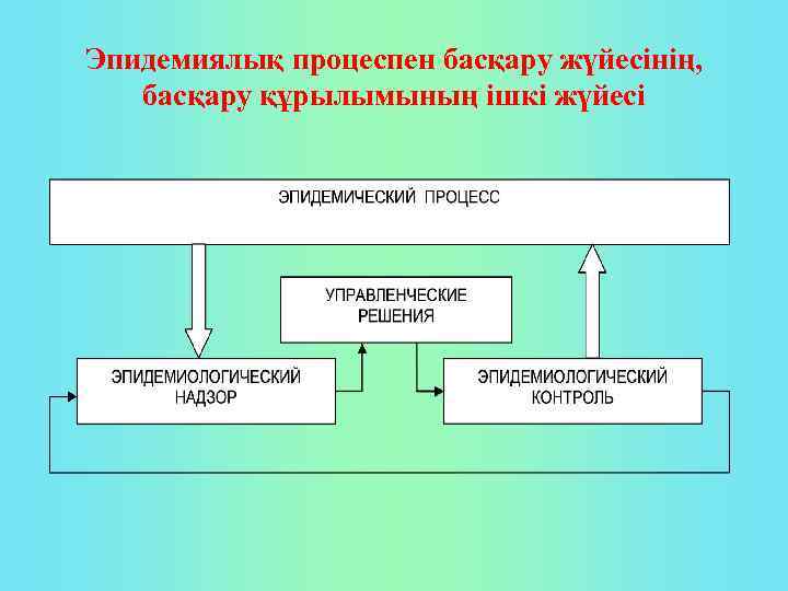 Эпидемиялық процеспен басқару жүйесінің, басқару құрылымының ішкі жүйесі 