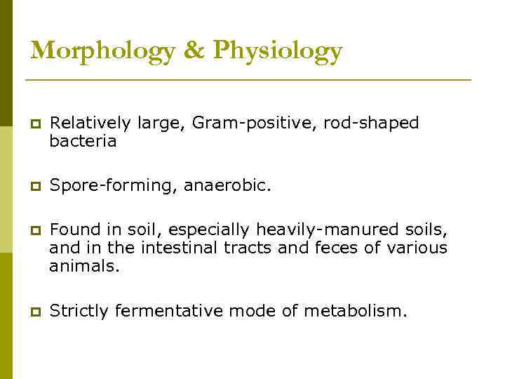 Morphology & Physiology p Relatively large, Gram-positive, rod-shaped bacteria p Spore-forming, anaerobic. p Found
