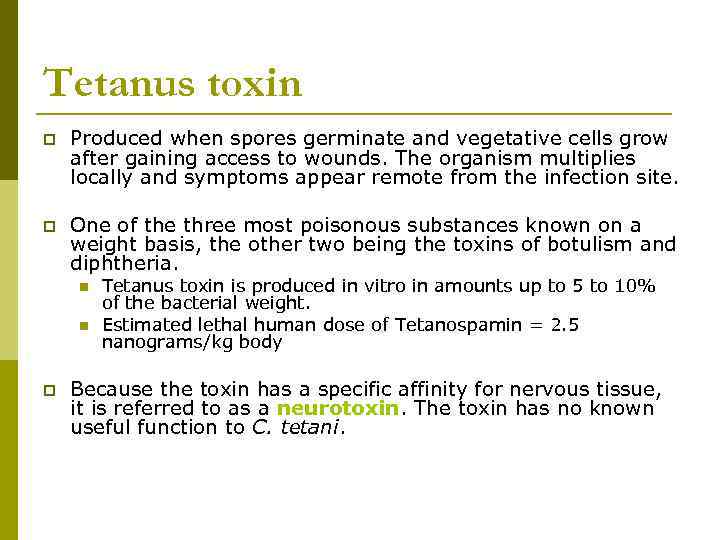 Tetanus toxin p Produced when spores germinate and vegetative cells grow after gaining access