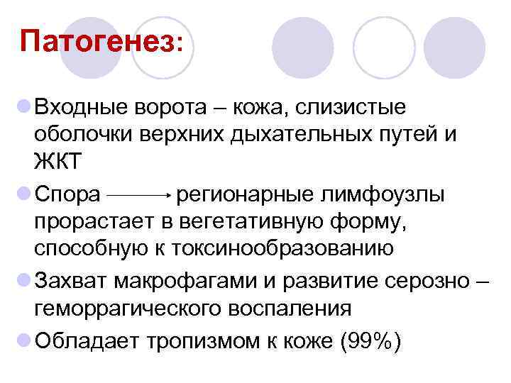 Патогенез: l Входные ворота – кожа, слизистые оболочки верхних дыхательных путей и ЖКТ l