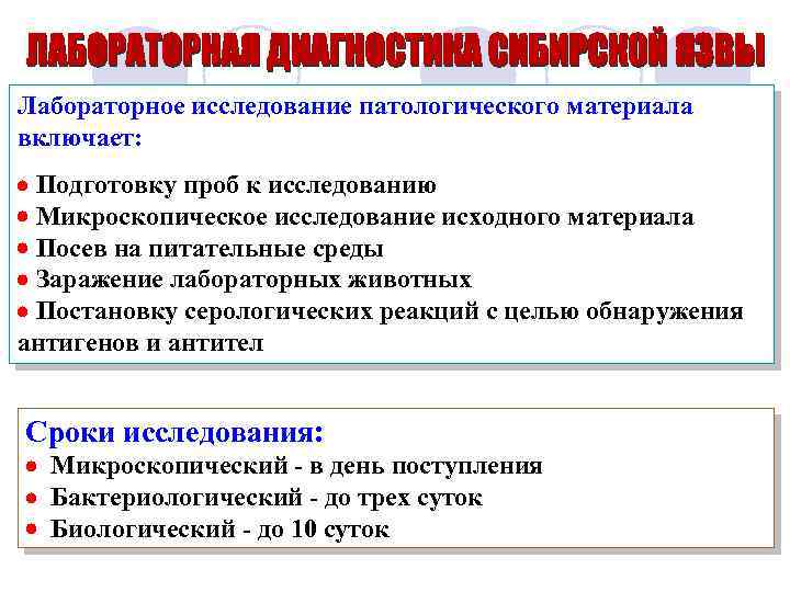 Лабораторное исследование патологического материала включает: Подготовку проб к исследованию Микроскопическое исследование исходного материала Посев