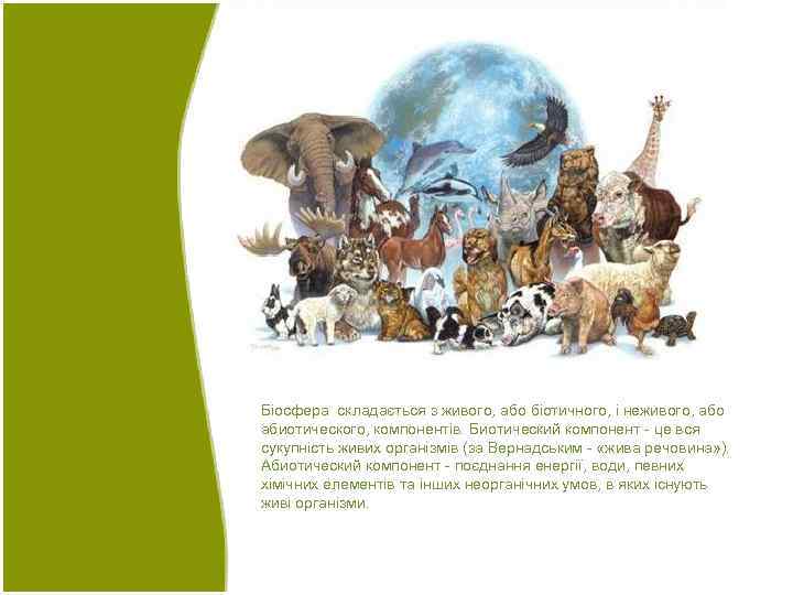 Біосфера складається з живого, або біотичного, і неживого, або абиотического, компонентів. Биотический компонент -