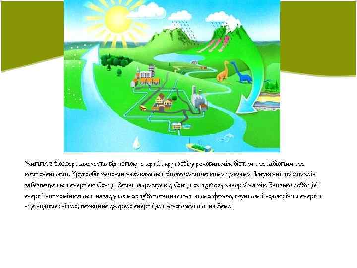 Життя в біосфері залежить від потоку енергії і кругообігу речовин між біотичних і абіотичних
