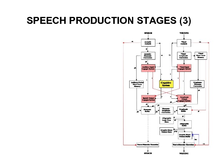 SPEECH PRODUCTION STAGES (3) 