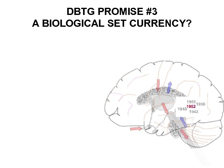 DBTG PROMISE #3 A BIOLOGICAL SET CURRENCY? 