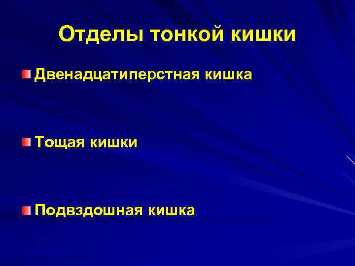 Отделы тонкой кишки Двенадцатиперстная кишка Тощая кишки Подвздошная кишка 