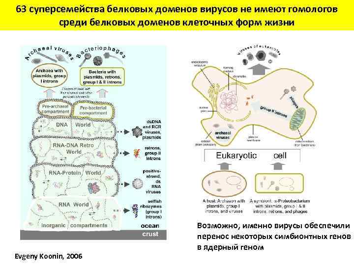 63 суперсемейства белковых доменов вирусов не имеют гомологов среди белковых доменов клеточных форм жизни