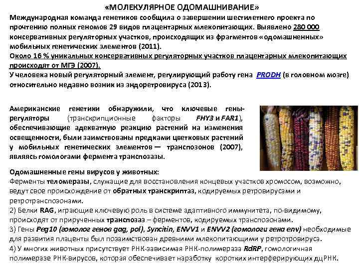  «МОЛЕКУЛЯРНОЕ ОДОМАШНИВАНИЕ» Международная команда генетиков сообщила о завершении шестилетнего проекта по прочтению полных