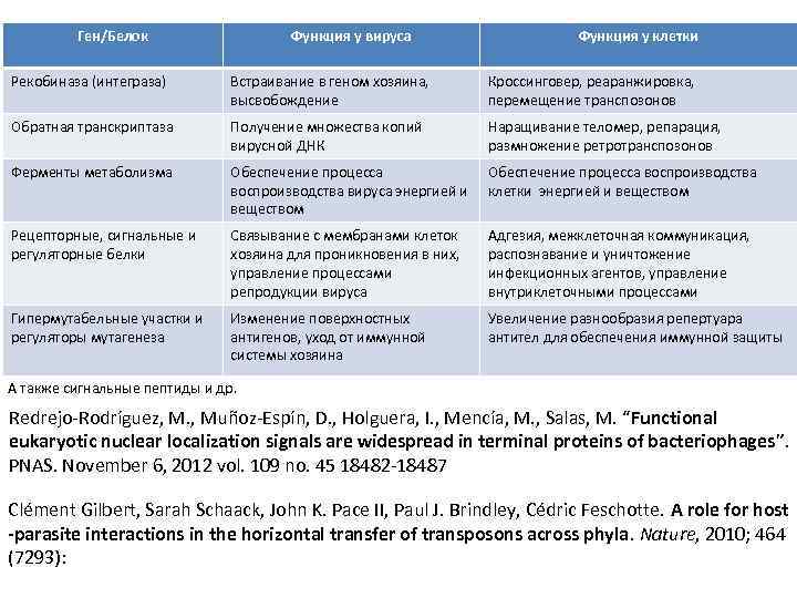 Ген/Белок Функция у вируса Функция у клетки Рекобиназа (интеграза) Встраивание в геном хозяина, высвобождение