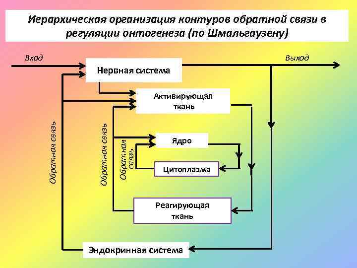 Контур связи. Модель системы с обратной связью. Контур обратной связи. Контур обратной связи в системе управления это. Обратная связь регуляция.