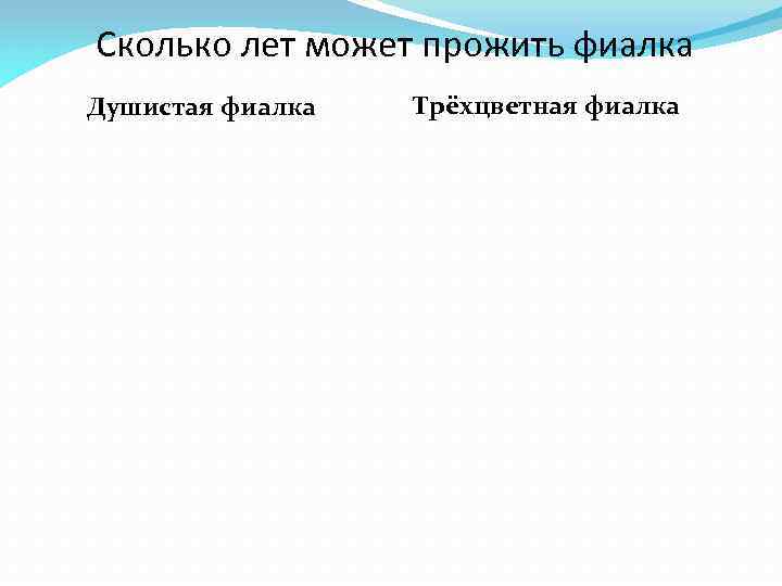 Сколько лет может прожить фиалка Душистая фиалка Трёхцветная фиалка 