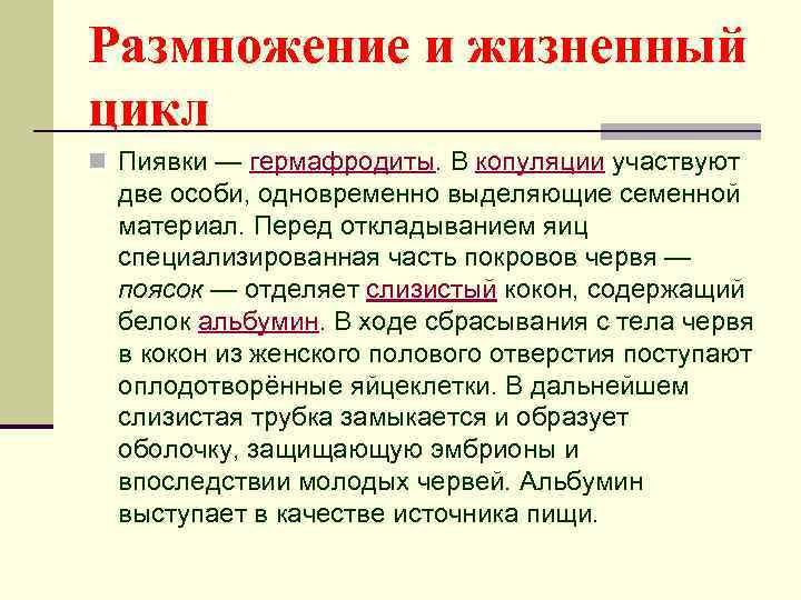 Размножение и жизненный цикл n Пиявки — гермафродиты. В копуляции участвуют две особи, одновременно