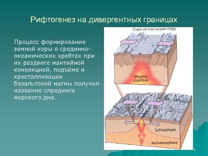 Рифтогенез на дивергентных границах Процесс формирования земной коры в срединноокеанических хребтах при их раздвиге