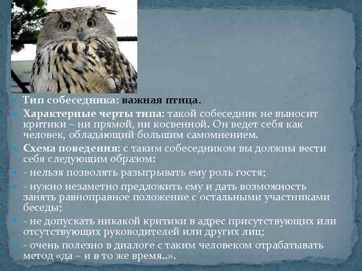  Тип собеседника: важная птица. Характерные черты типа: такой собеседник не выносит критики –
