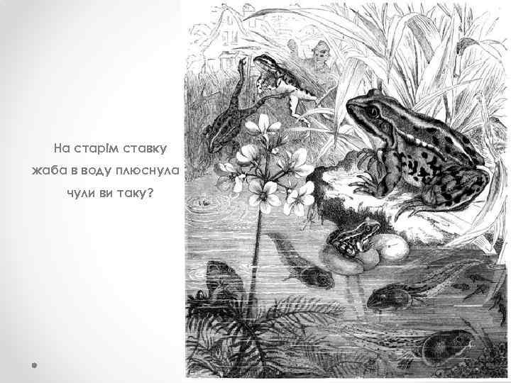 На старім ставку жаба в воду плюснула чули ви таку? 