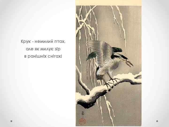 Крук - немилий птах, але як милує зір в ранішніх снігах! 