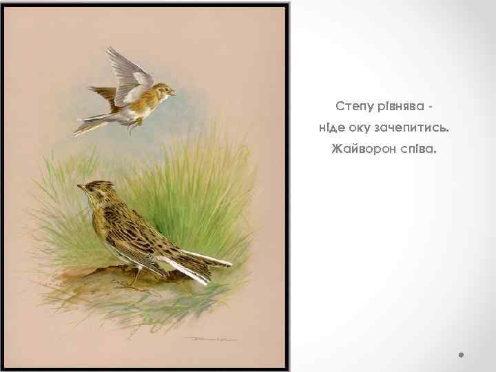 Степу рівнява ніде оку зачепитись. Жайворон співа. 