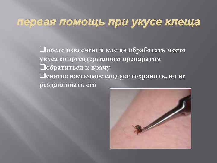 первая помощь при укусе клеща qпосле извлечения клеща обработать место укуса спиртсодержащим препаратом qобратиться