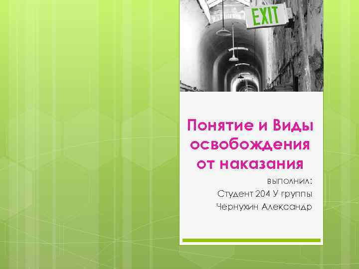 Понятие и Виды освобождения от наказания выполнил: Студент 204 У группы Чернухин Александр 