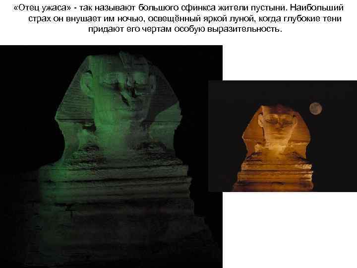  «Отец ужаса» - так называют большого сфинкса жители пустыни. Наибольший страх он внушает