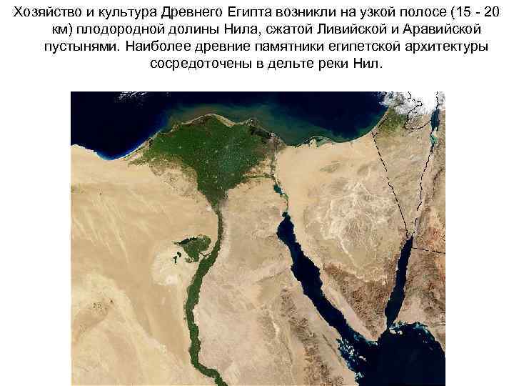 Хозяйство и культура Древнего Египта возникли на узкой полосе (15 - 20 км) плодородной