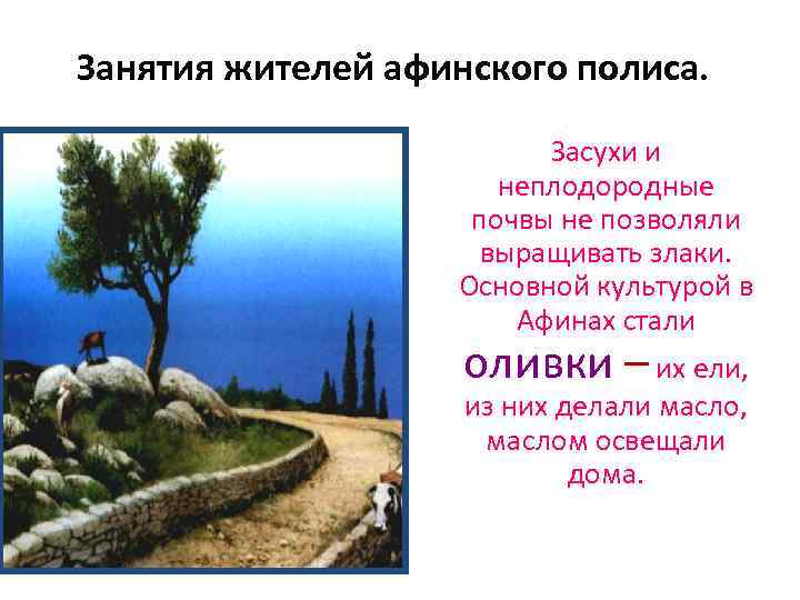 Занятия жителей афинского полиса. Засухи и неплодородные почвы не позволяли выращивать злаки. Основной культурой