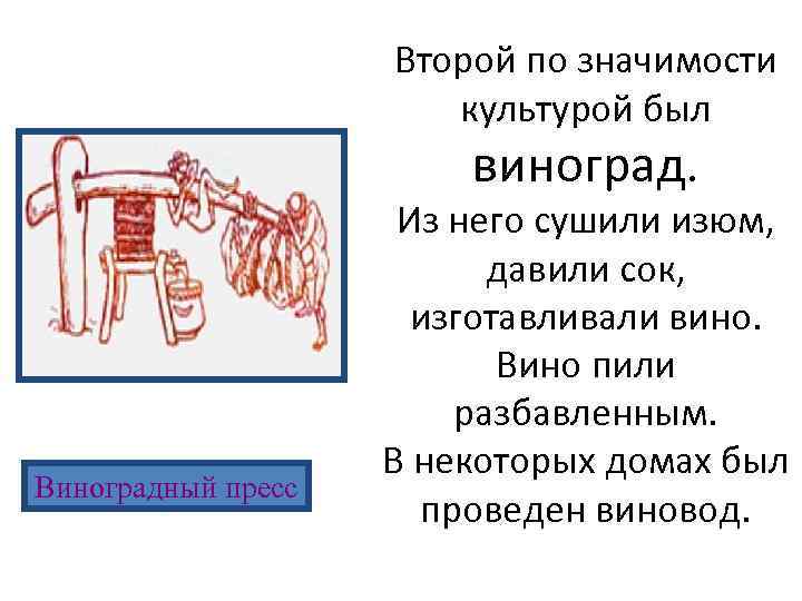 Второй по значимости культурой был виноград. Виноградный пресс Из него сушили изюм, давили сок,