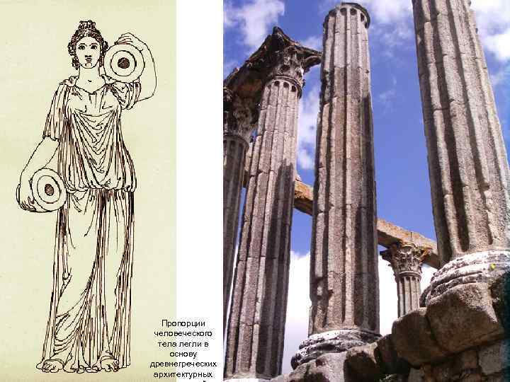 Пропорции человеческого тела легли в основу древнегреческих архитектурных 