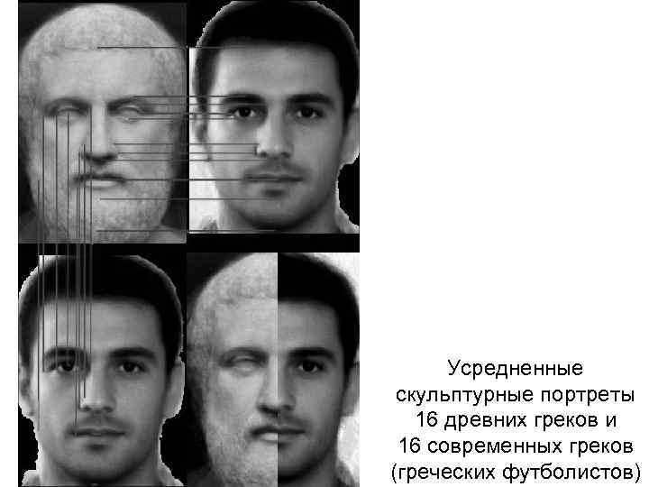 Усредненные скульптурные портреты 16 древних греков и 16 современных греков (греческих футболистов) 