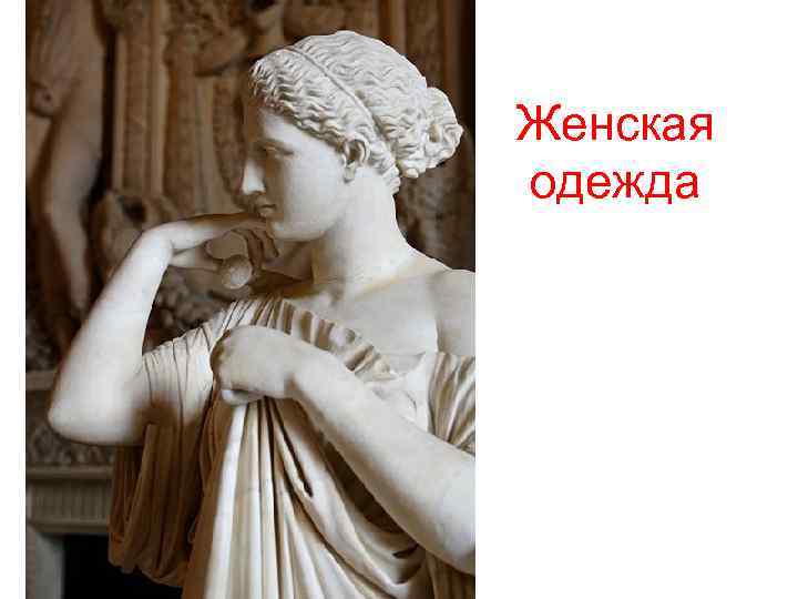 Женская одежда 