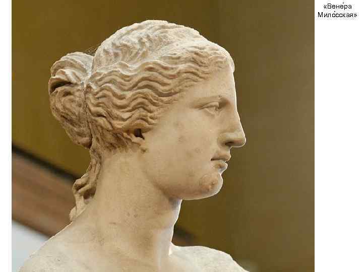  «Вене ра Мило сская» 