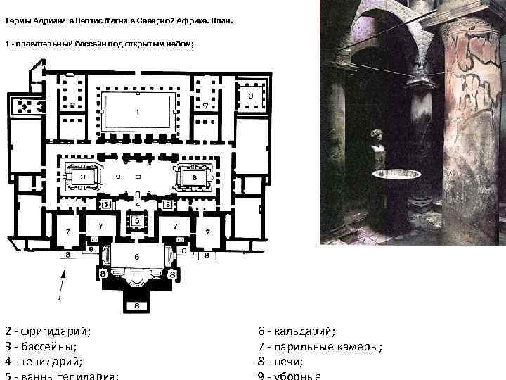 Термы Адриана в Лептис Магна в Северной Африке. План. 1 - плавательный бассейн под