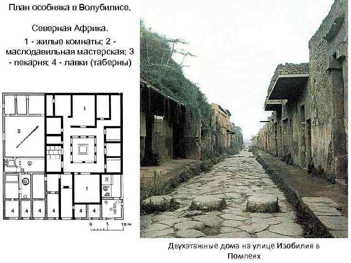 План особняка в Волубилисе, Северная Африка. 1 - жилые комнаты; 2 маслодавильная мастерская; 3