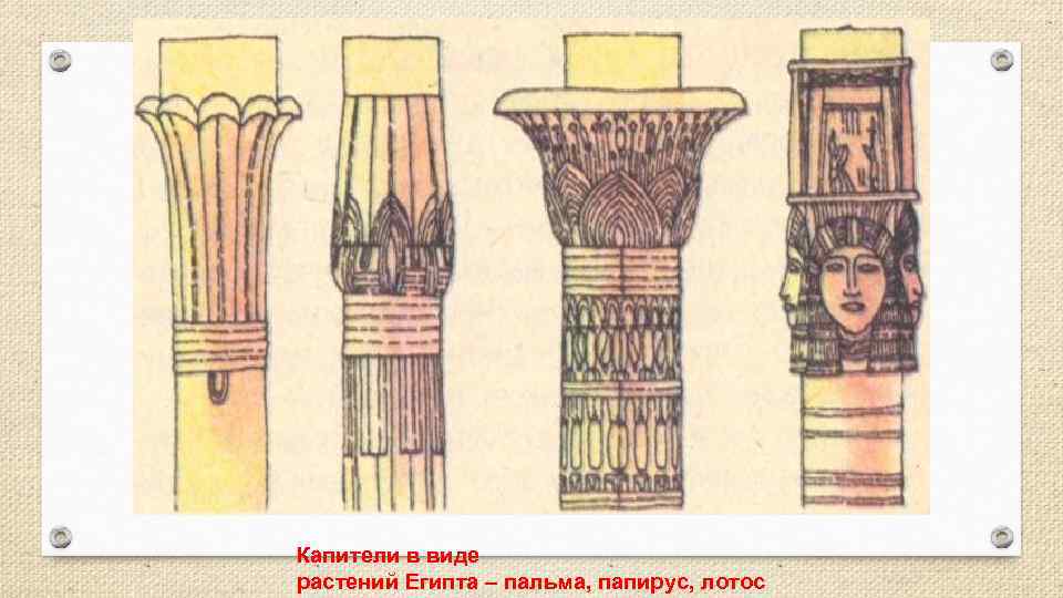 Капители в виде растений Египта – пальма, папирус, лотос 